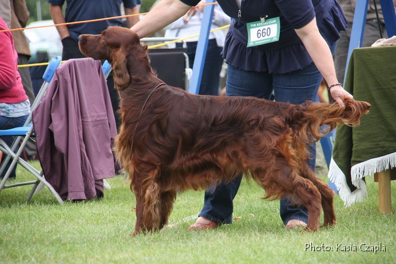 Copper's Champagne On Ice At Aoibheanne (13).jpg